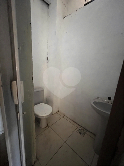 Foto REO1122363