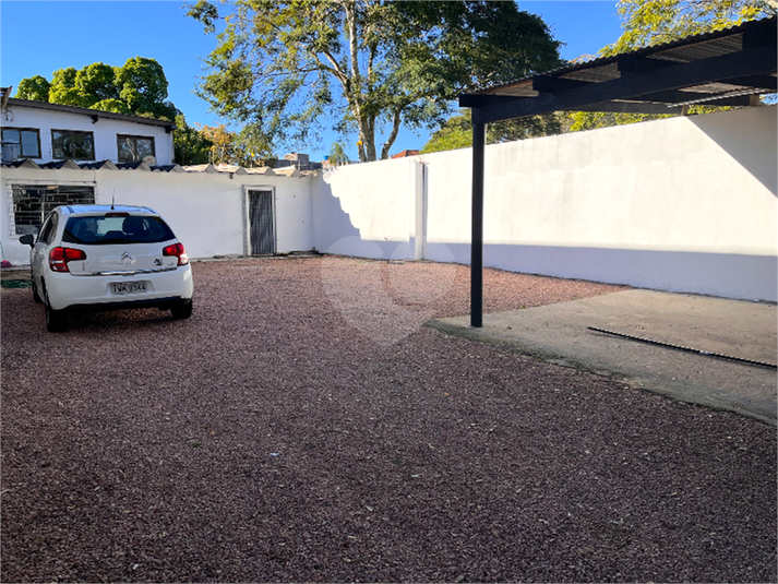 Foto REO1122363