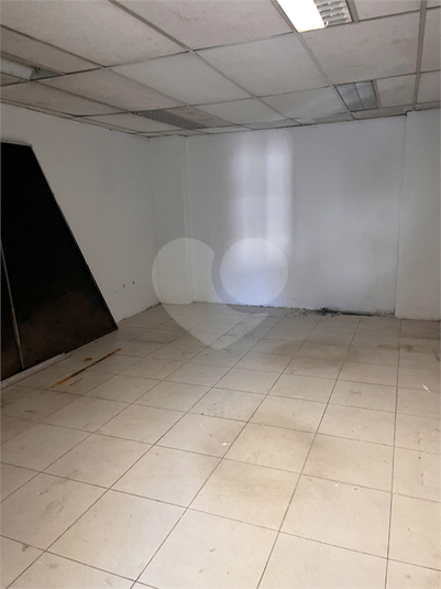 Foto REO1122363