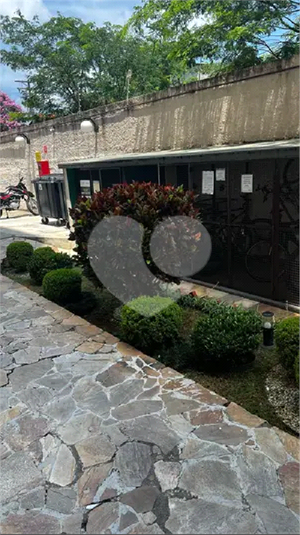 Foto REO1122364