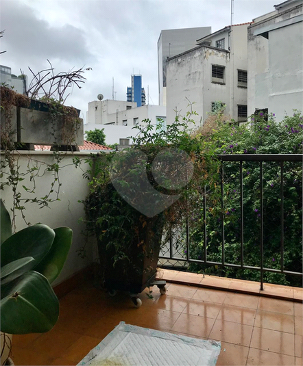 Foto REO1122375