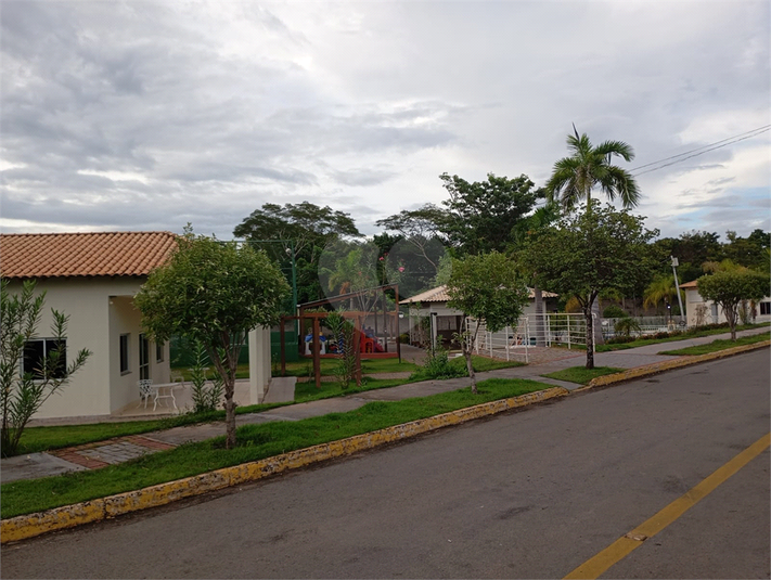 Foto REO1122376