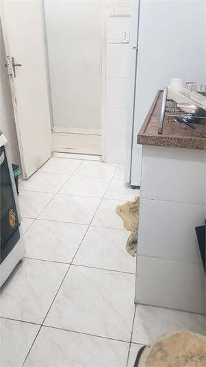 Foto REO1122386