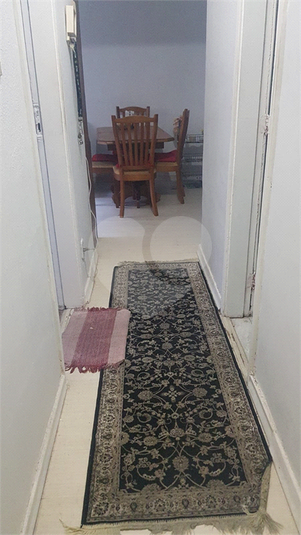 Foto REO1122386