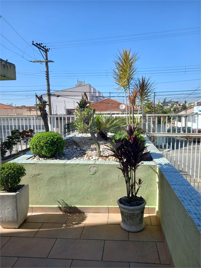 Foto REO1122388