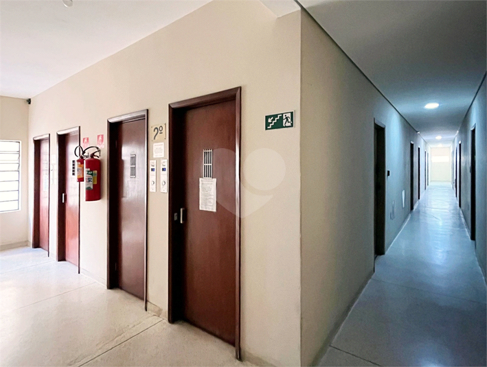 Foto REO1122389