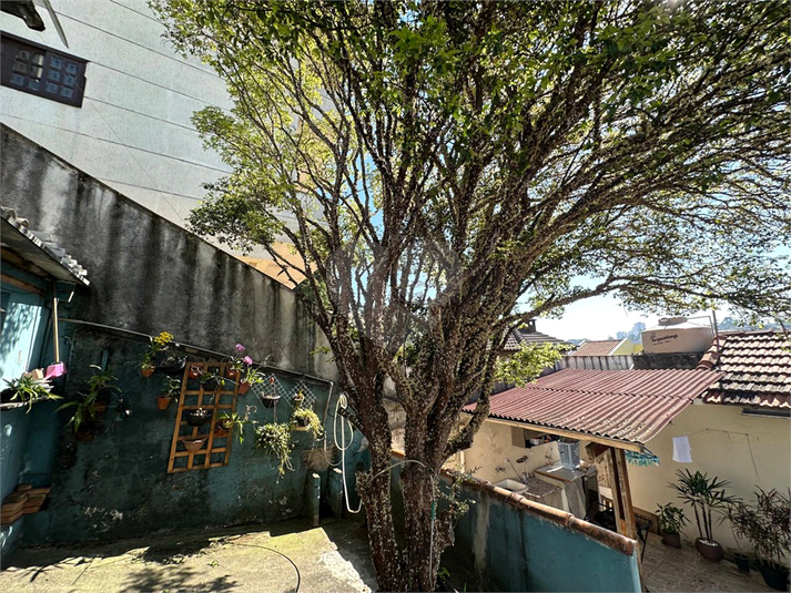 Foto REO1122390