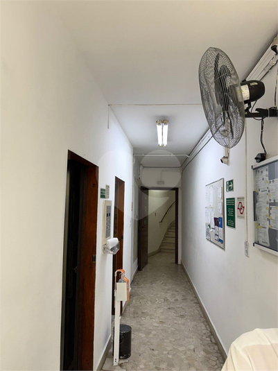 Foto REO1122396