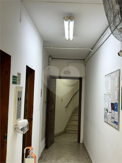 Foto REO1122396