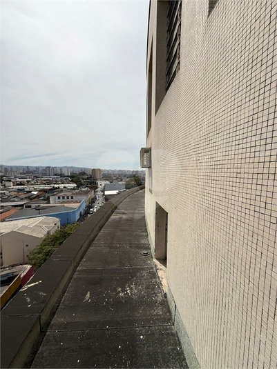 Foto REO1122396
