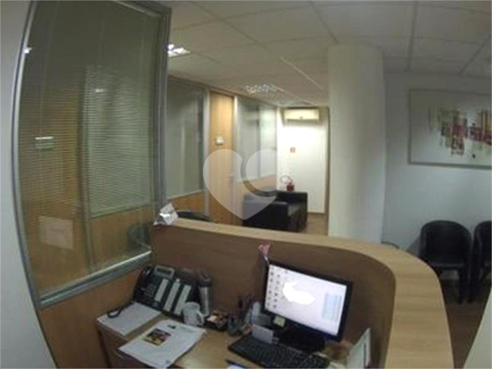 Foto REO1122405