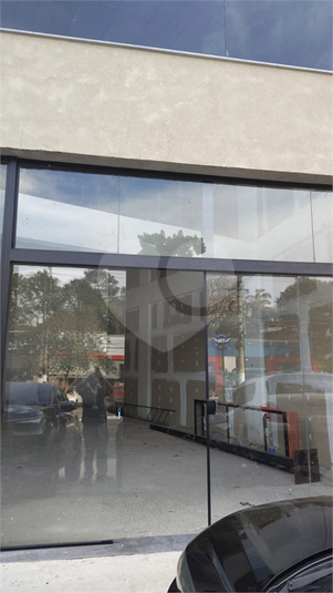Foto REO1122407