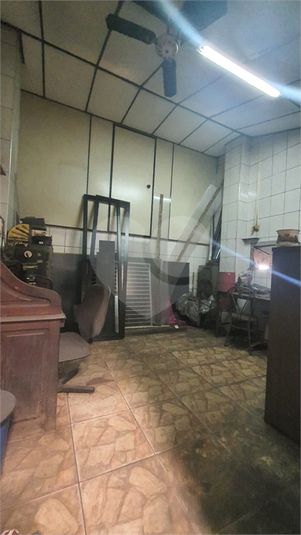 Foto REO1122425