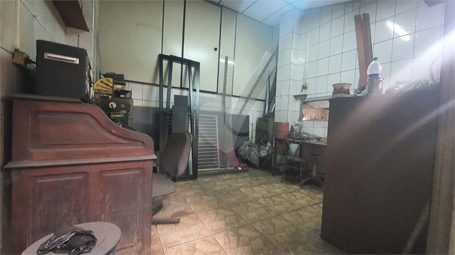 Foto REO1122425