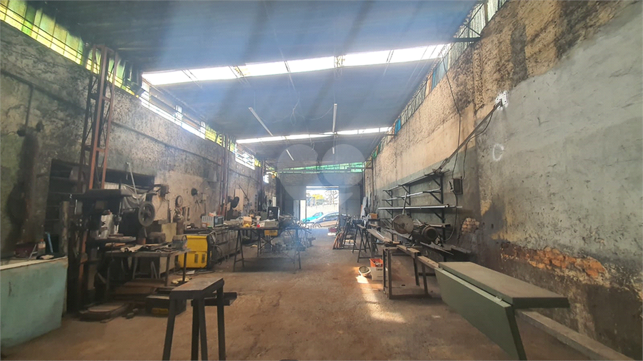 Foto REO1122425