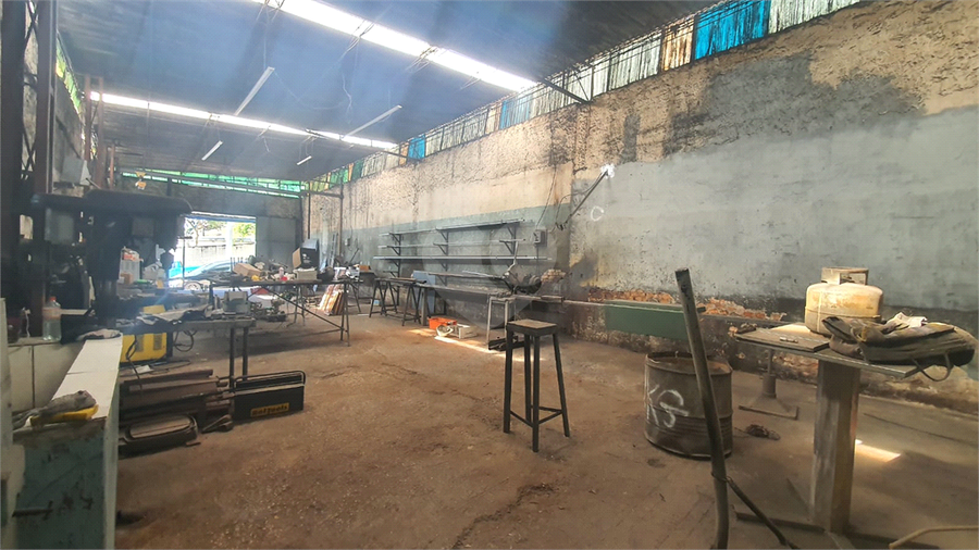 Foto REO1122425