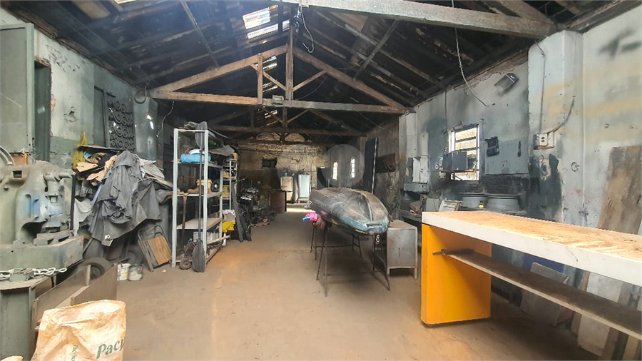 Foto REO1122425