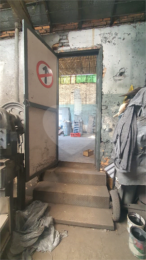 Foto REO1122425