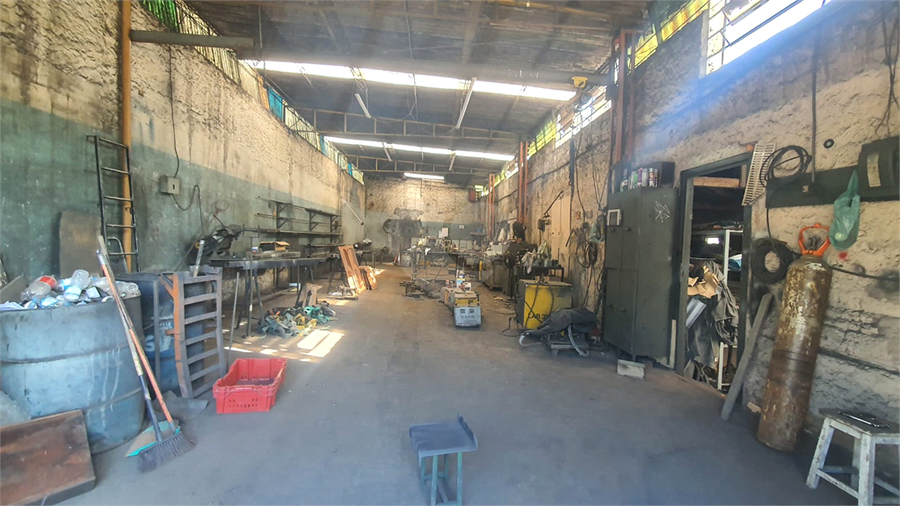 Foto REO1122425