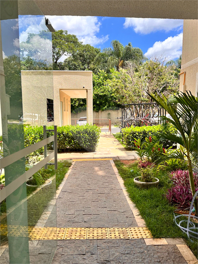 Foto REO1122433