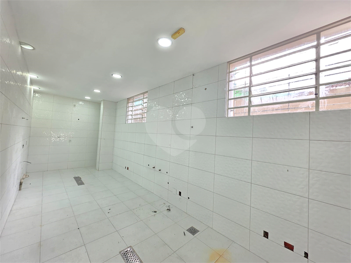Foto REO1122439