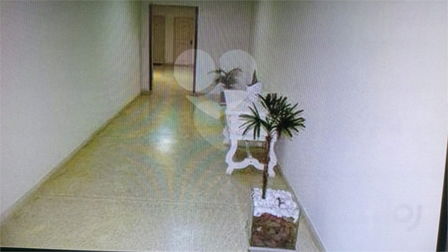 Foto REO1122441