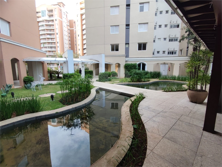 Foto REO1122442