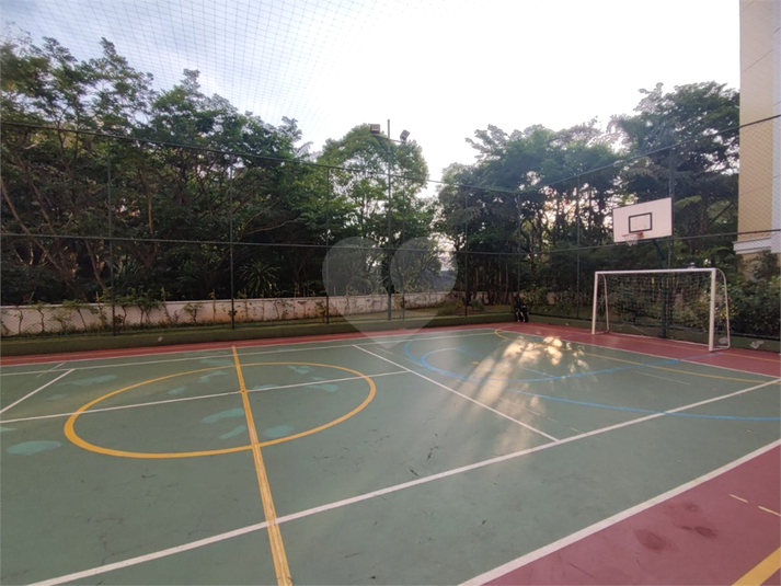 Foto REO1122442
