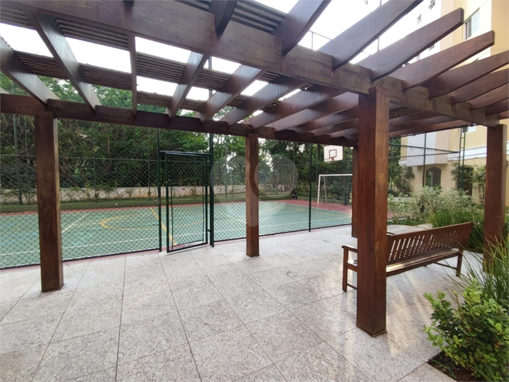 Foto REO1122442