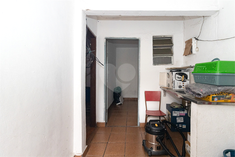 Foto REO1122445