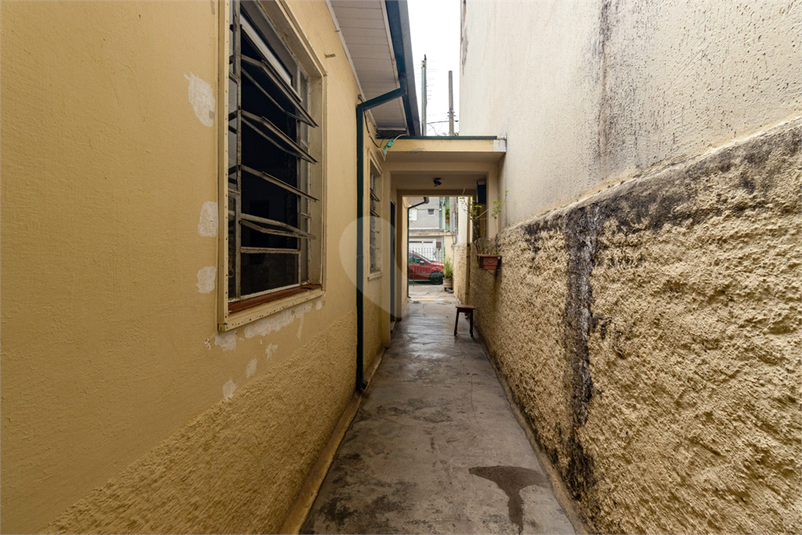 Foto REO1122445