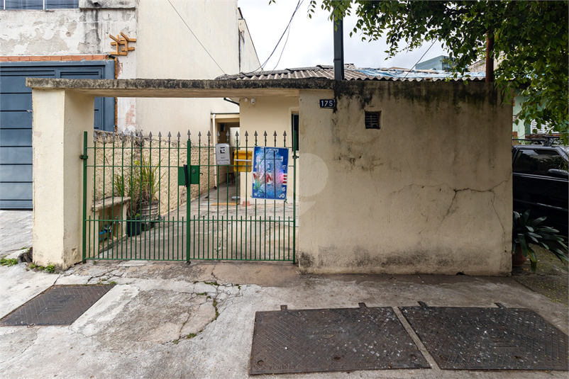 Foto REO1122445