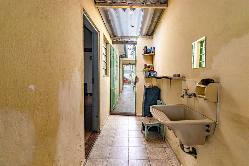 Foto REO1122445