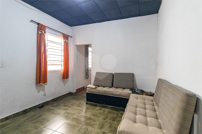 Foto REO1122445