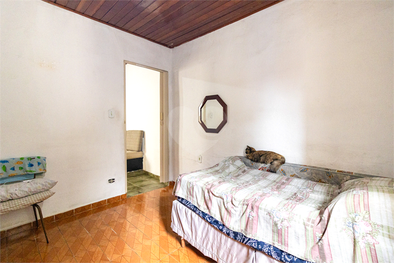 Foto REO1122445