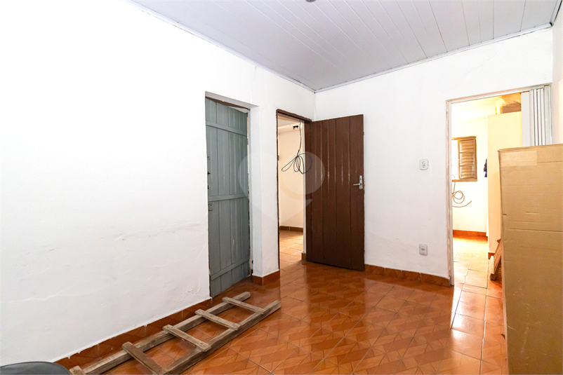 Foto REO1122445