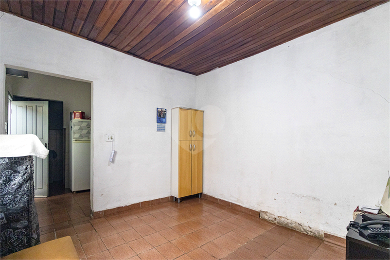 Foto REO1122445