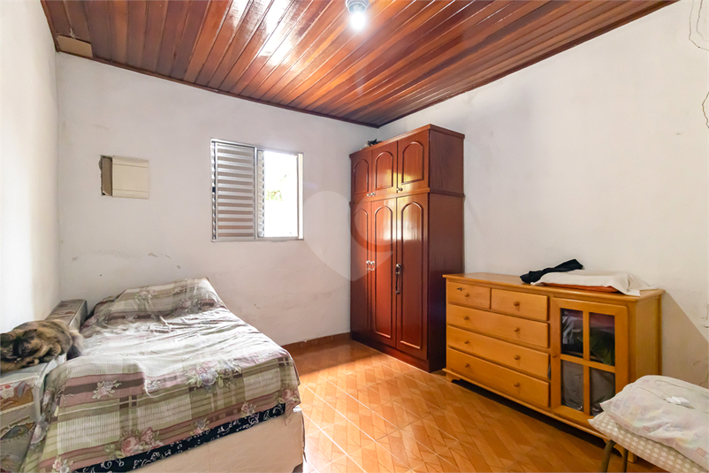 Foto REO1122445