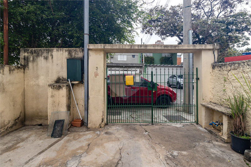 Foto REO1122445