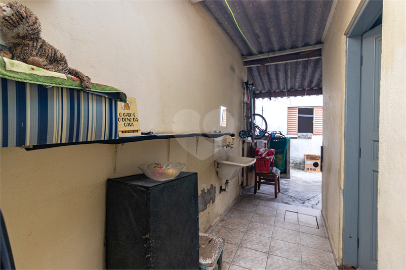 Foto REO1122445