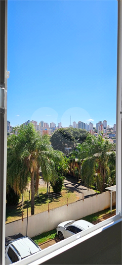 Foto REO1122454