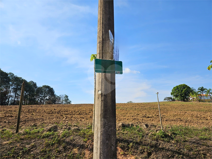 Foto REO1122456