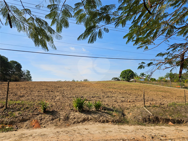 Foto REO1122456