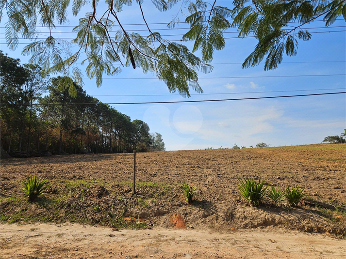 Foto REO1122456