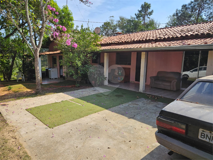 Foto REO1122456