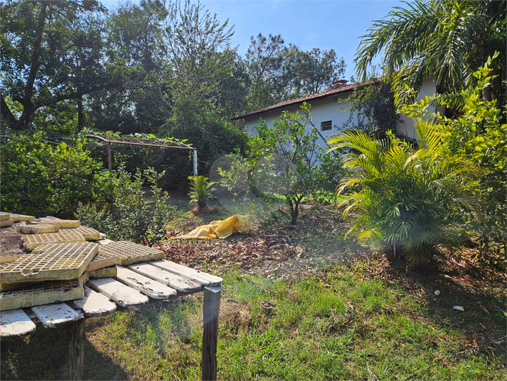 Foto REO1122456