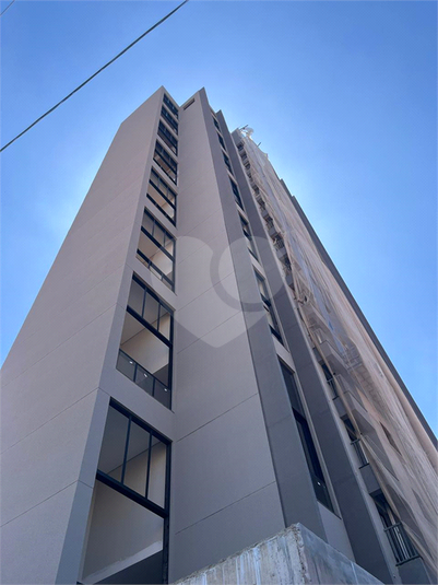 Foto REO1122469