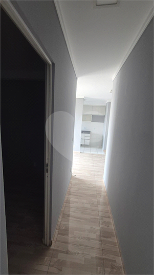 Foto REO1122473
