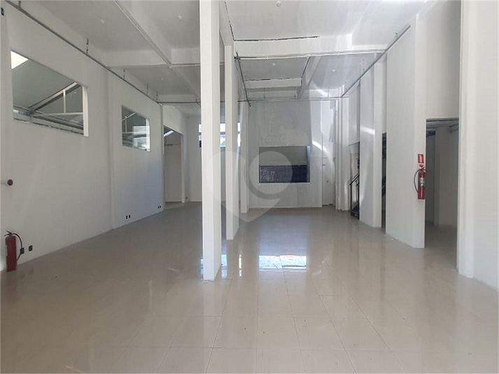 Foto REO1122478