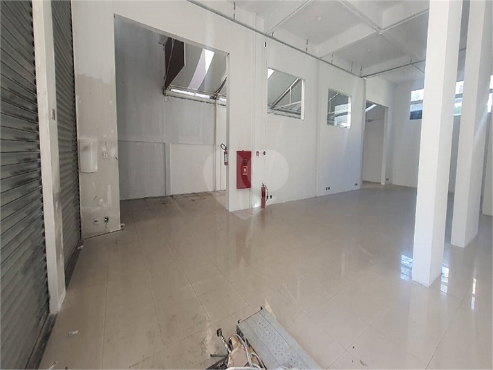 Foto REO1122478